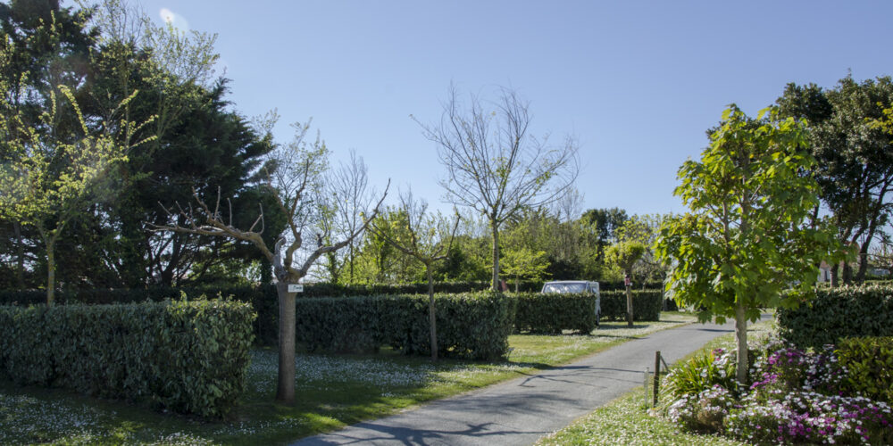 Camping oléron 2 étoiles