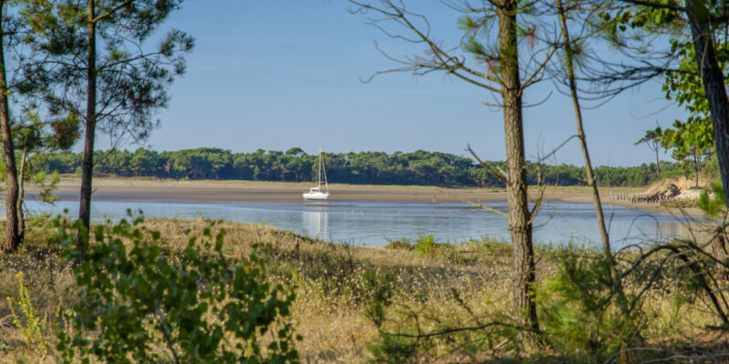 visiter Oléron camping Saint Denis
