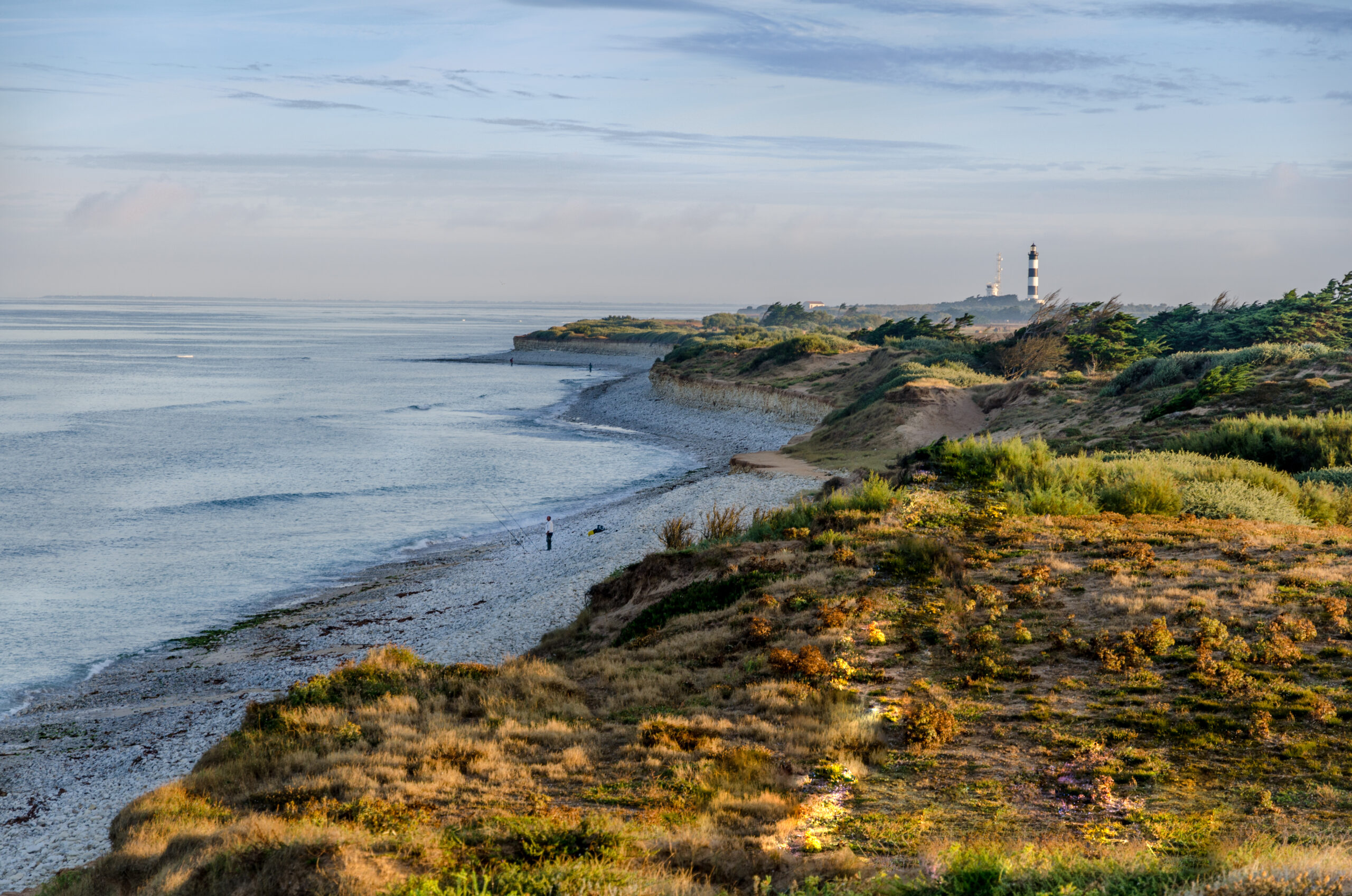 balade en famille depuis le village de St Denis jusqu'au phare de Chassiron