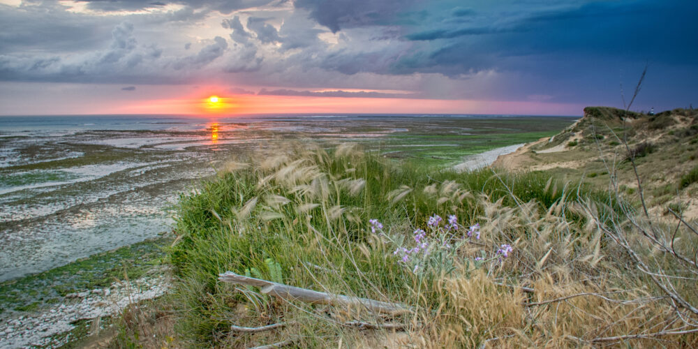 camping Oléron bord de mer