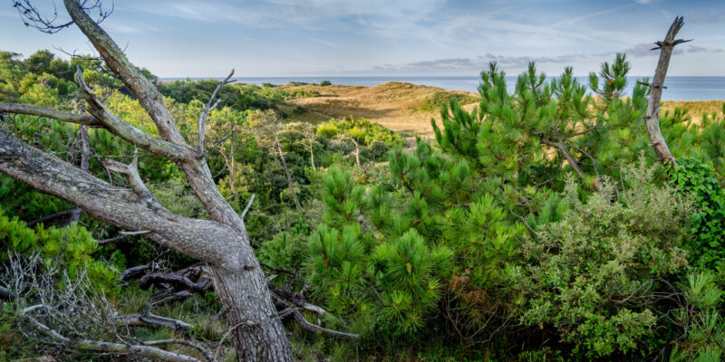 idée balade pour visiter Oléron côté nature et océan