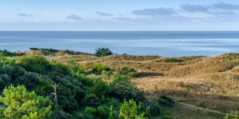 infos pratiques camping les Lauriers 2 étoiles Saint Denis